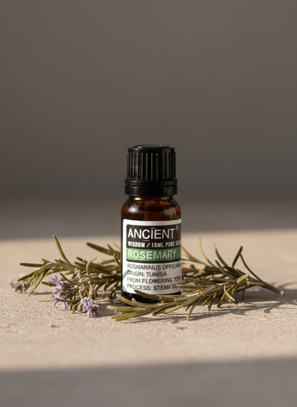 Rosmarin Æterisk Olie 10 ml